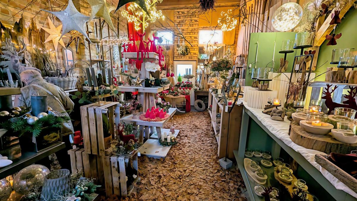 585605404_25119167331026999_7299403991832697932_n